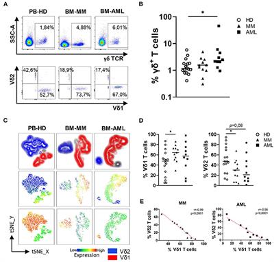 Bone Marrow-Resident Vδ1 T Cells Co-express TIGIT With PD-1, TIM-3 or CD39 in AML and Myeloma